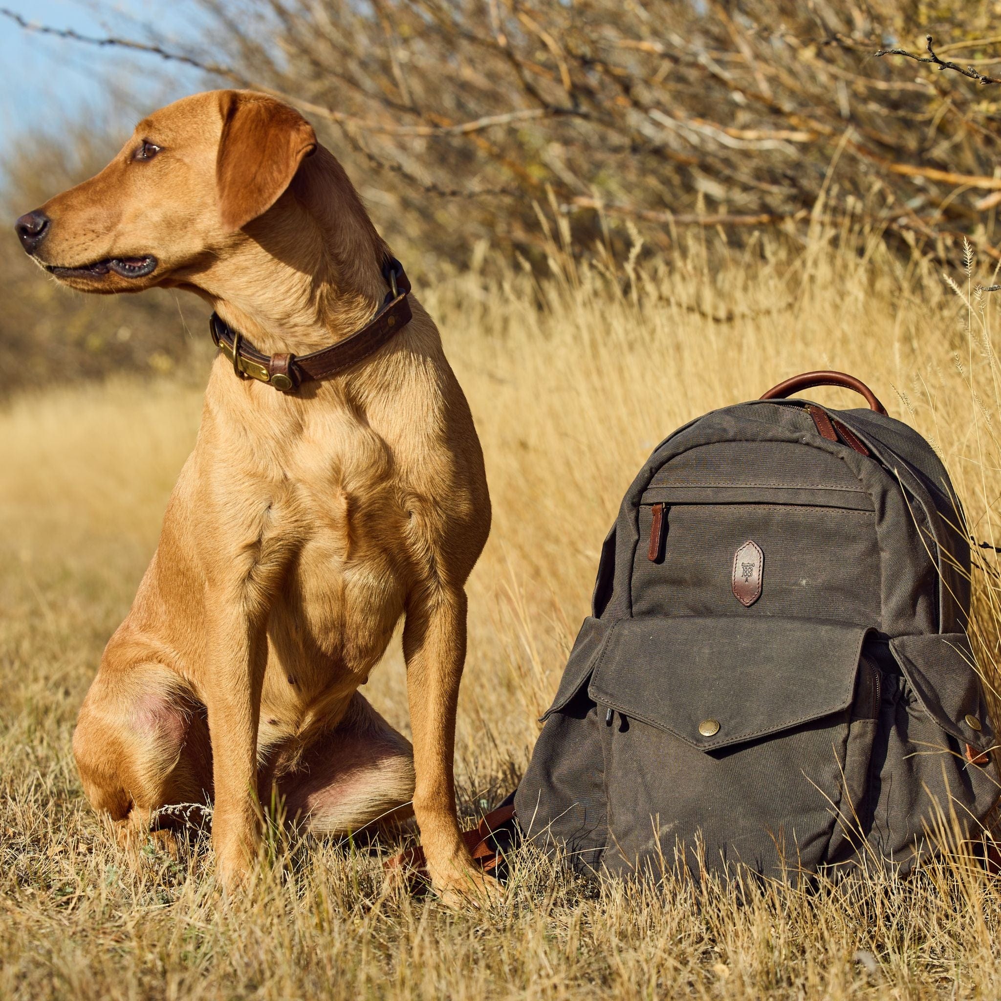 Canvas Backpack - Image 5