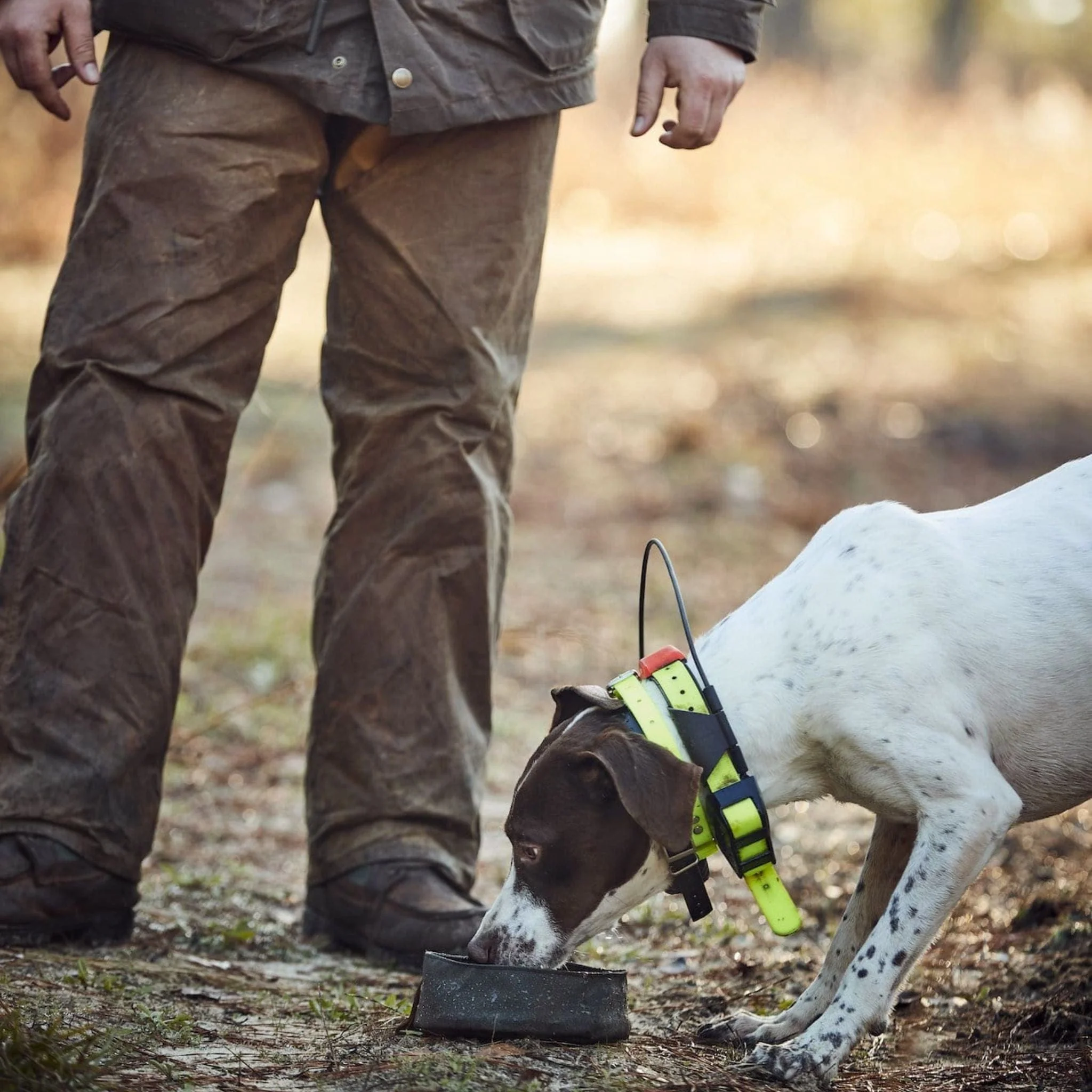 Canvas Dog Bowl - Image 3
